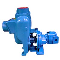 pumps-with-hydraulic-motor-mp.jpg