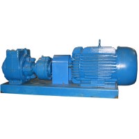 PEPGNX21-z-2-1_TOP.jpg